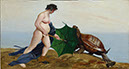 G_Schildkroete