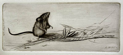 Richard M&uuml;ller (1874-1954),M&uuml;llers M&auml;usedarstellungen brachten ihm den
Spitznamen M&auml;use-M&uuml;ller ein,because of his mouse-depictions M&uuml;ller earned the
nickname Mice-M&uuml;ller