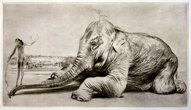 Richard Müller (1874-1954),Die Beherrschung behäbiger Macht durch die Frau faszinert
Müller immer wieder,Müller is always fascinated by tender females ruling powerful
creatures